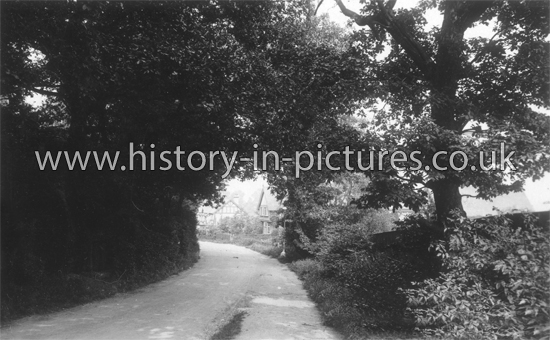 Monkhams Lane, Woodford Green, Essex. c.1912